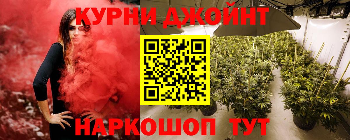 Бошки марихуана Bruce Banner  Вход с VPN  Бошки Шишки марихуана  Сланцы  Бошки Шишки гибрид  Бошки марихуана индика 
